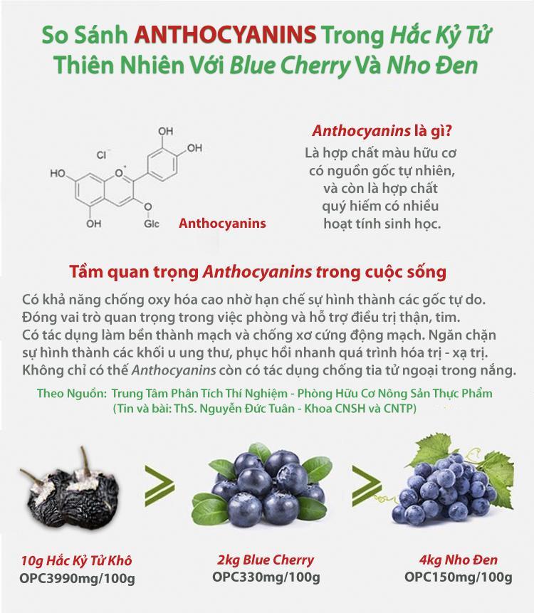 HẮC KỶ TỬ MÔNG CỔ - BLACK WOLFBERRY - LOẠI 1 (100G)