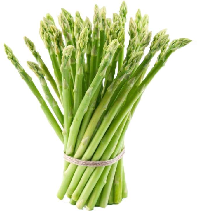 Hạt giống măng tây HN gói 0.1gr