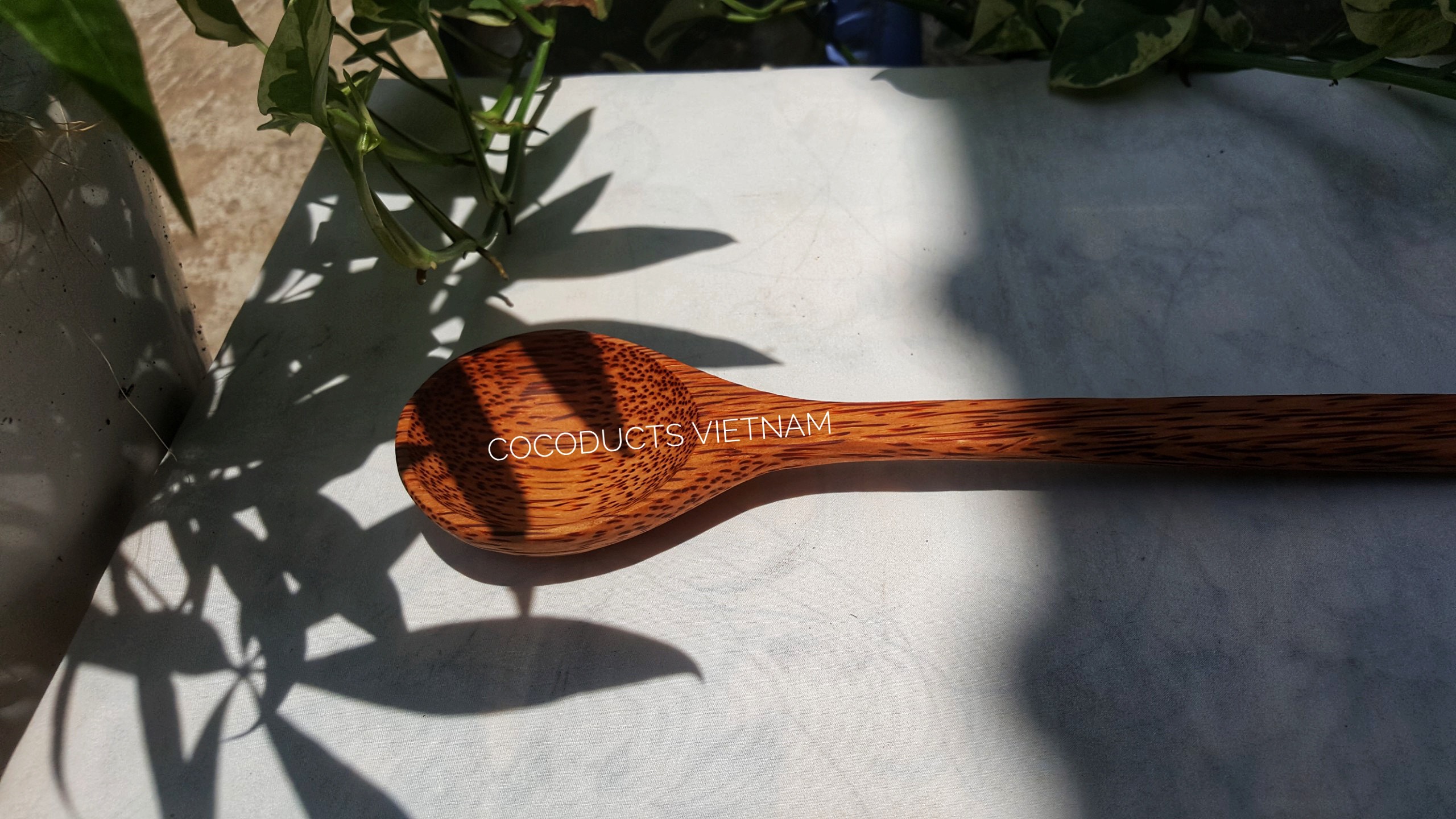 [HCM]Vá muôi múc canh gỗ dừa