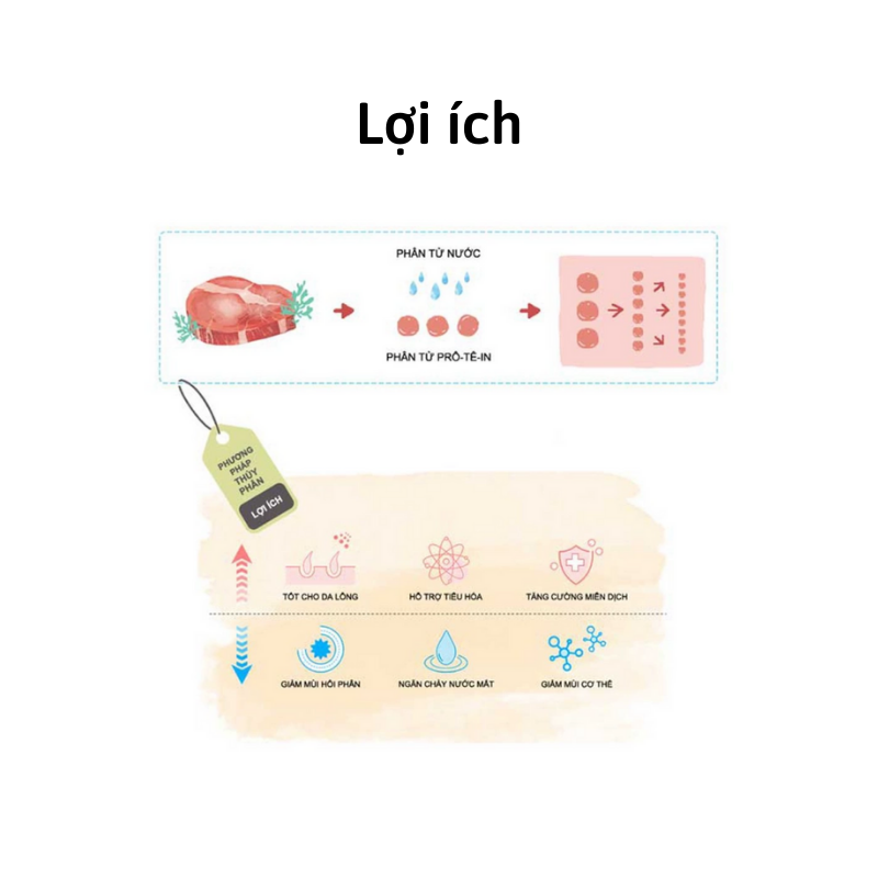 [1kg] Thức Ăn Cho Mèo Con 🐈 Hạt Hữu Cơ Bene Natural Core kitten c1