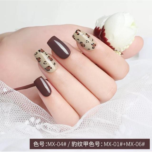 Set 6 chai sơn AS Mã MX