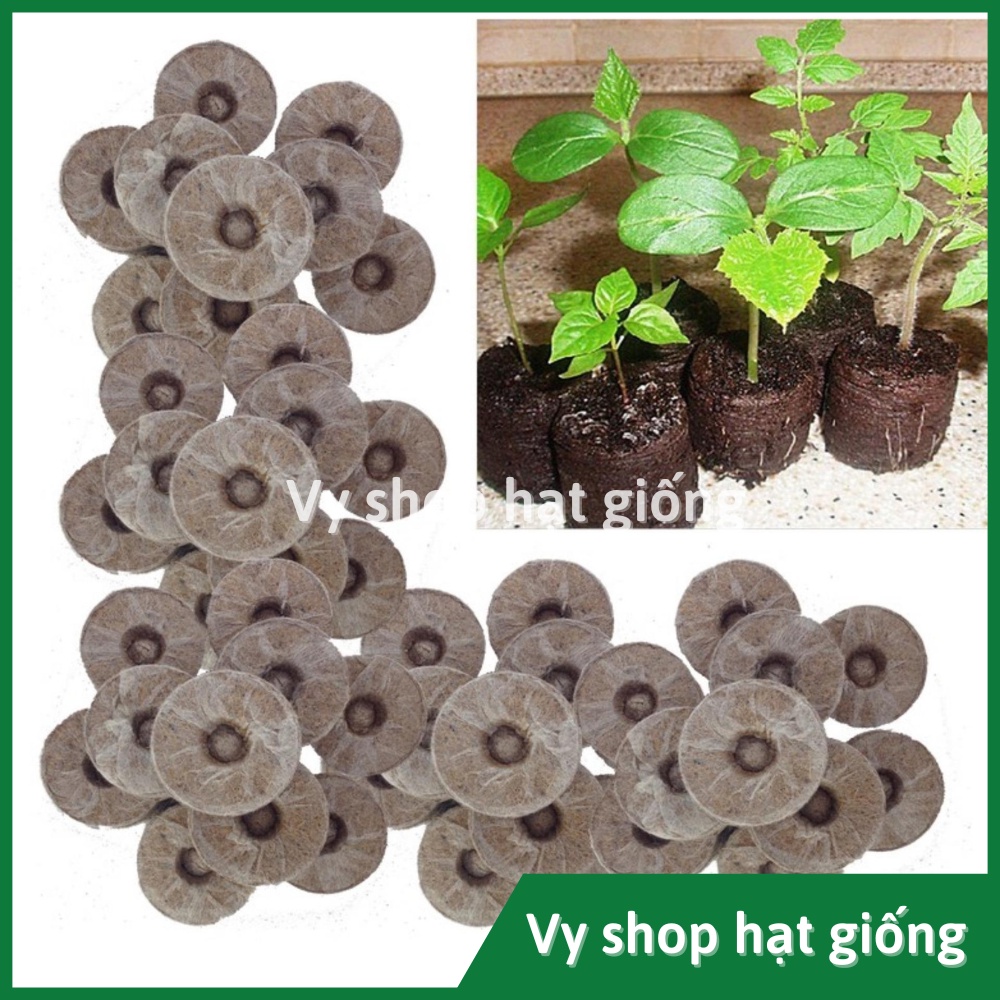 1 Viên nén xơ dừa ươm hạt giống