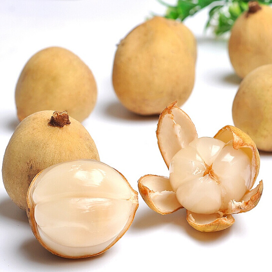 Cây bòn bon thái siêu quả giống