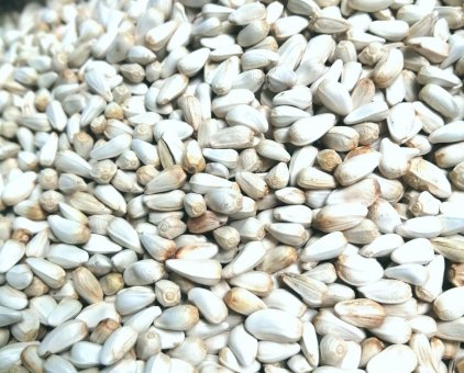 Hạt kham trăng dành cho hamster, chim, sóc, vẹt....  (1 Kg)