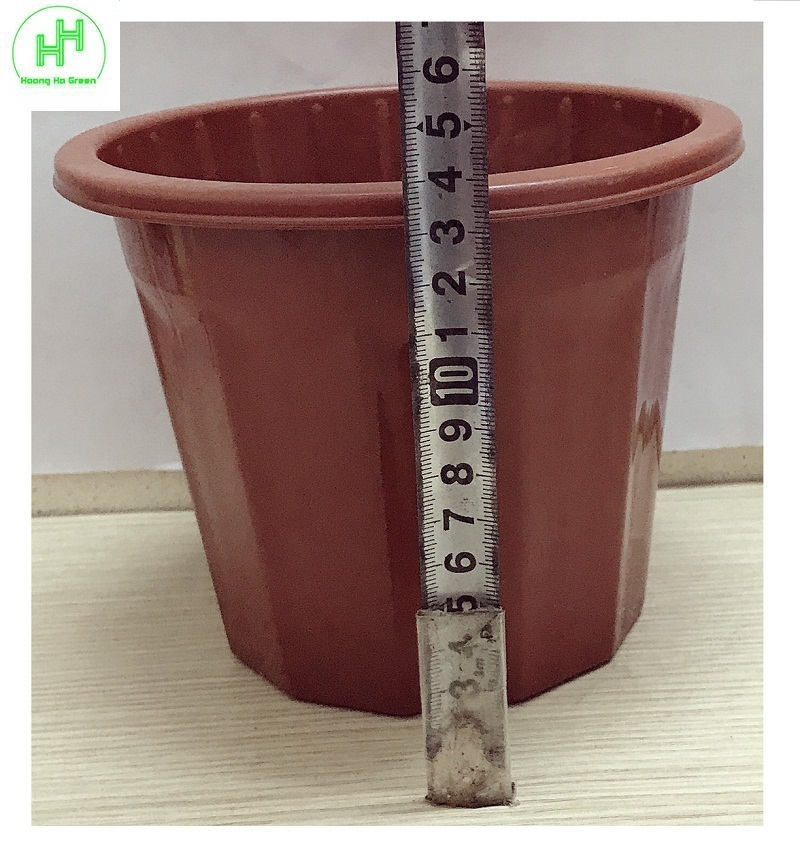 5 Chậu Nhựa Trồng Hoa, Cây Cảnh E230 CN