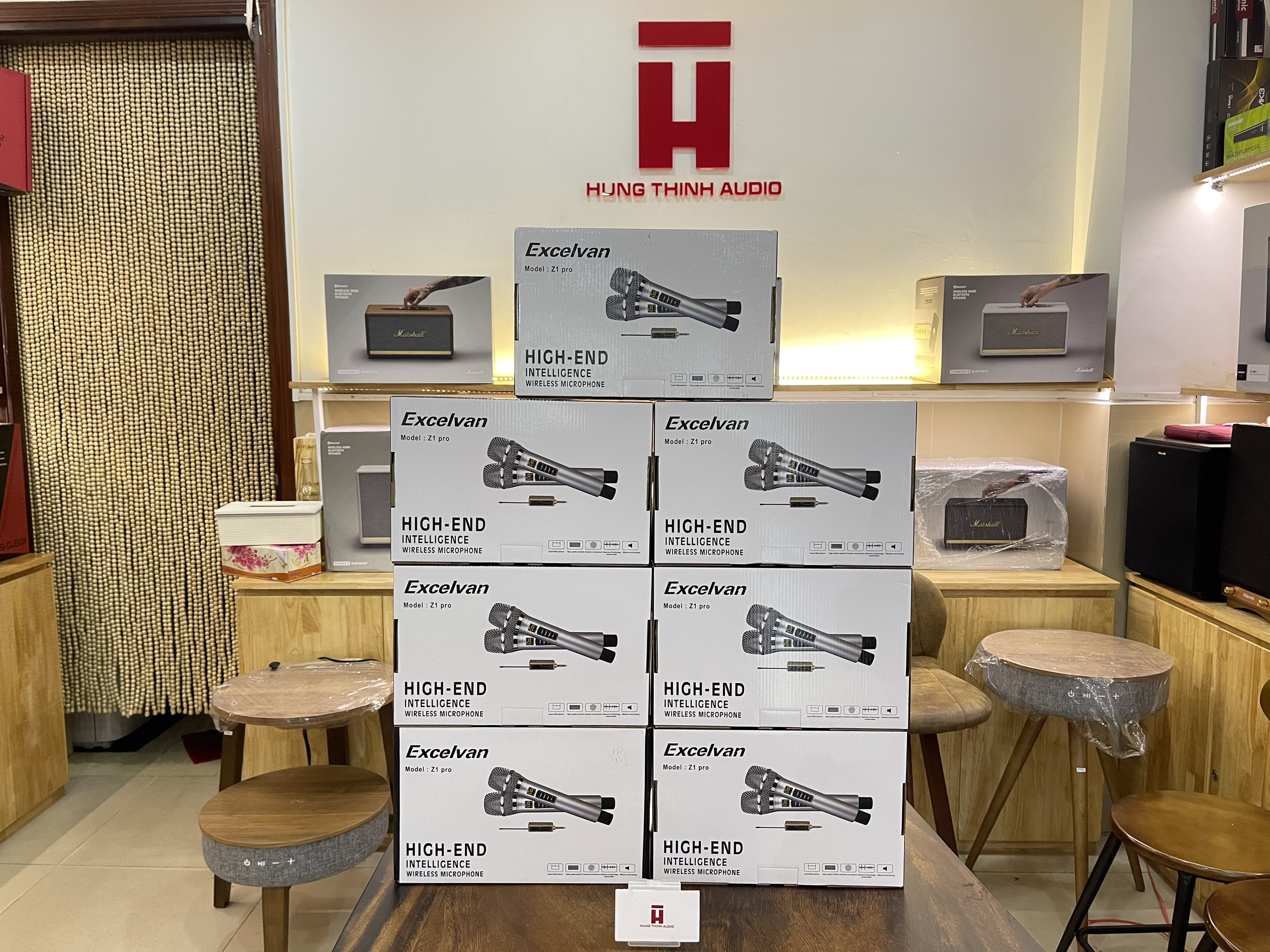[HCM]MICRO KHÔNG DÂY EXCELVAN Z1 PRO