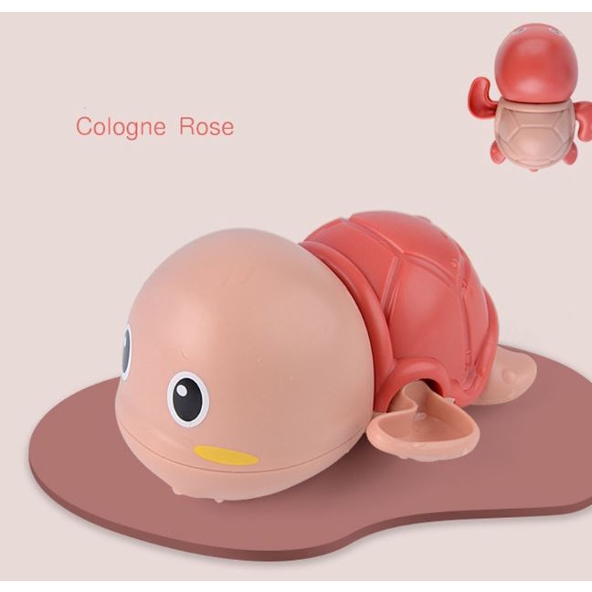 Rùa lên cót thả bể bơi cho bé - rùa bơi