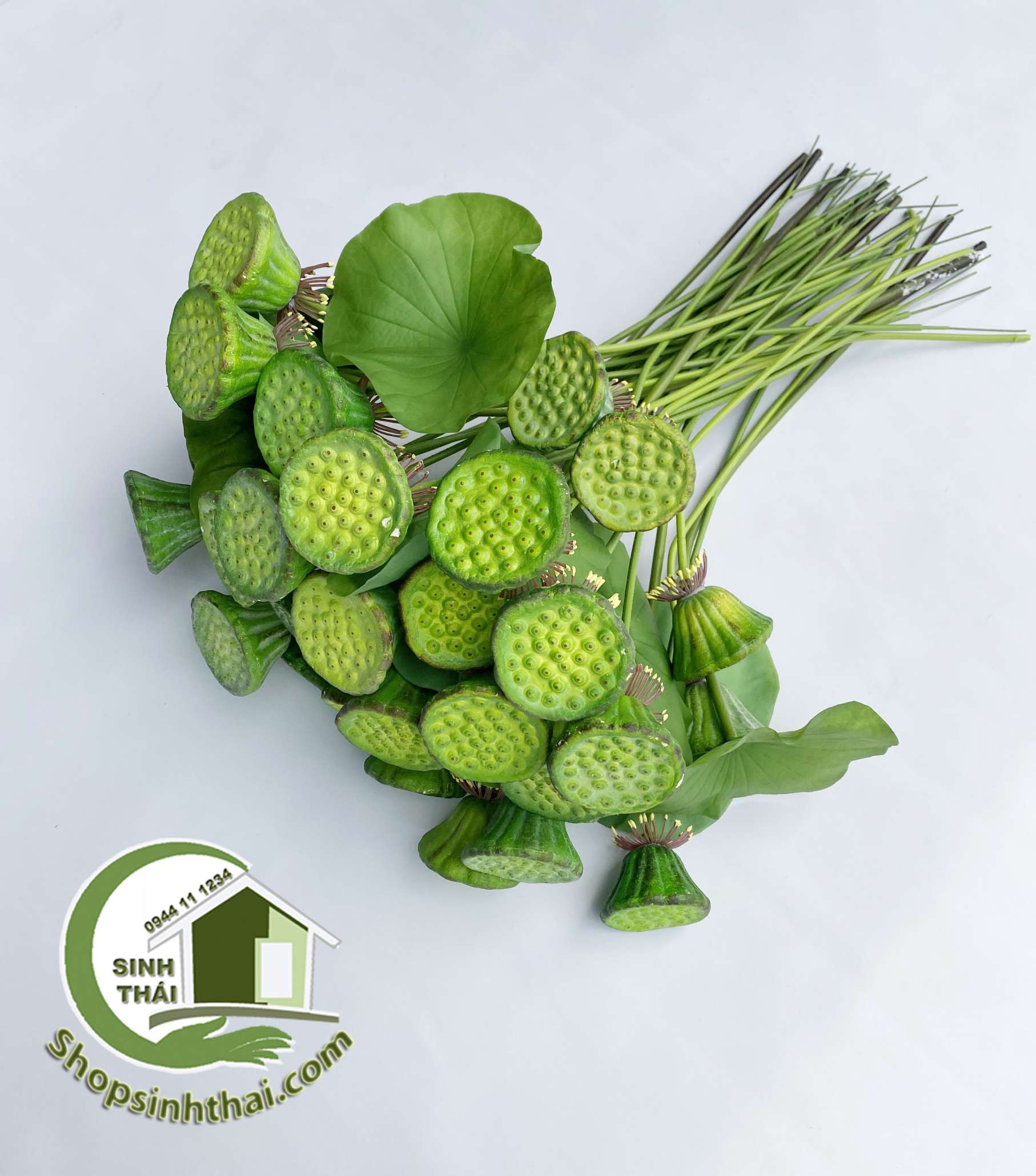 [HCM]Lá sen gương sen giả - cành gương lá sen giả cao cấp Thái Lan -  chọn cành