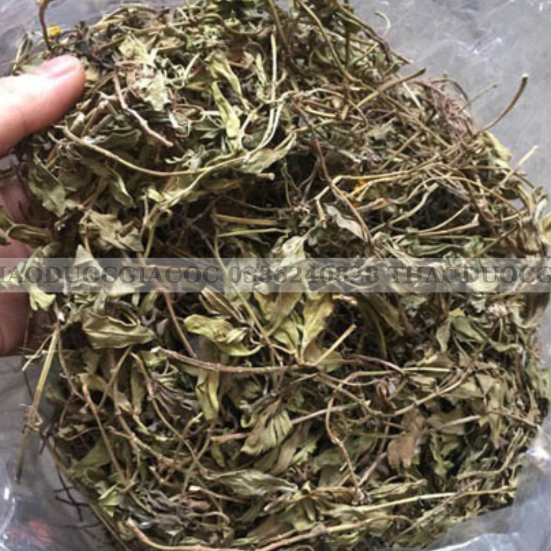500g Cây Sài Đất Khô tắm cho bé rất tốt