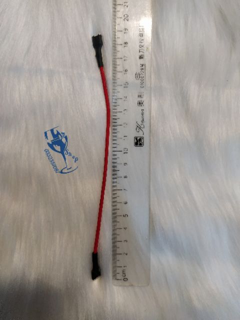 Dây chịu nhiệt 19cm có 2 đầu rắc cắm