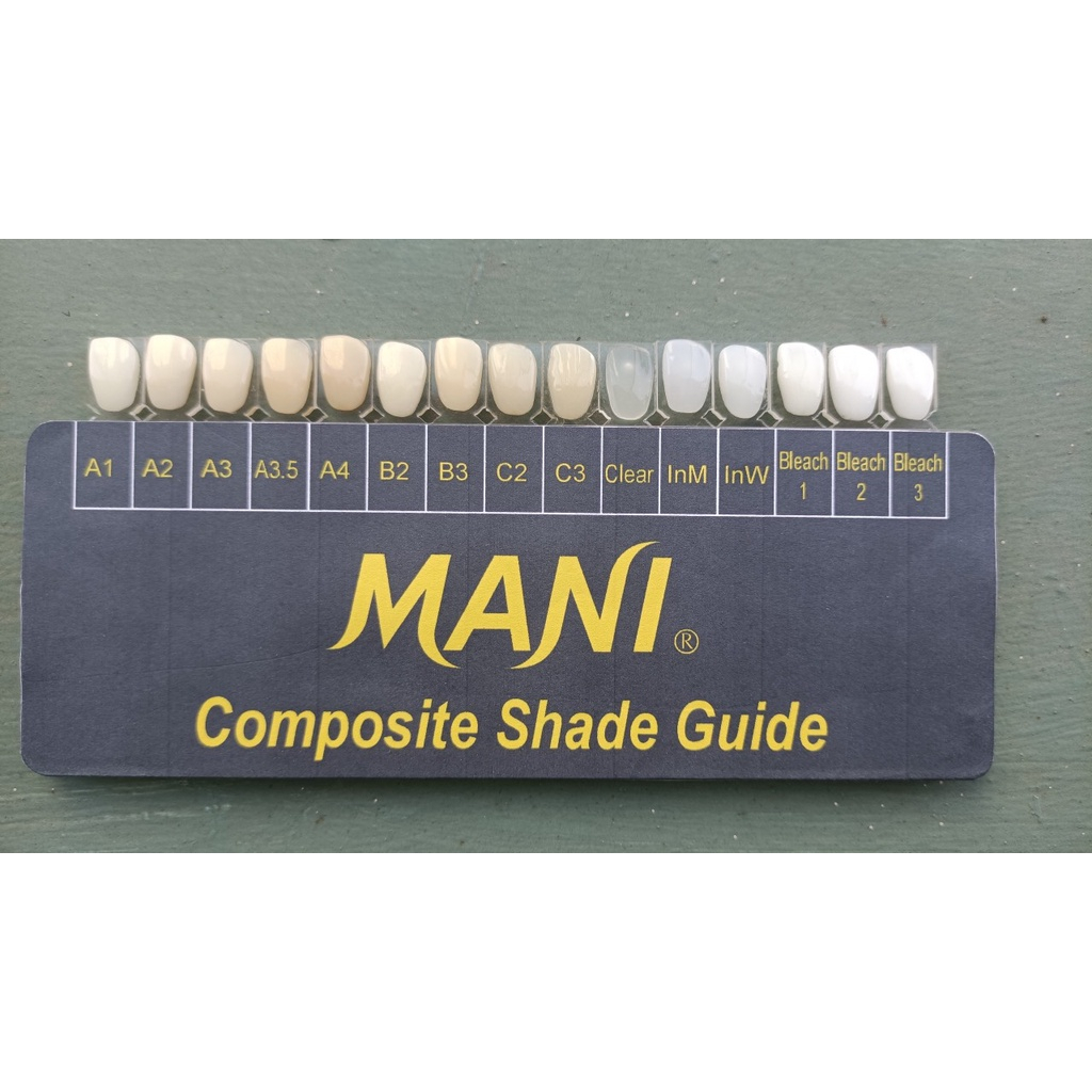 Composite lai trám thẩm mỹ Mani Micro (Hộp x tuýp 4g)