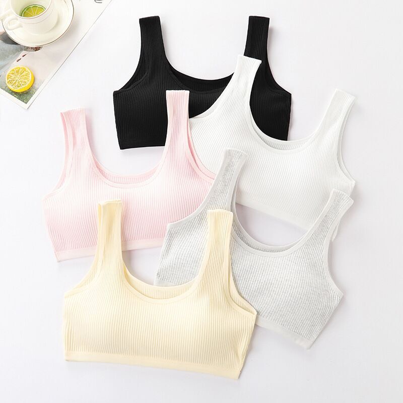 Áo lá học sinh cotton tăm 2 lớp mút mỏng 007 – Mềm mịn, co giãn tốt, thấm hút nhanh