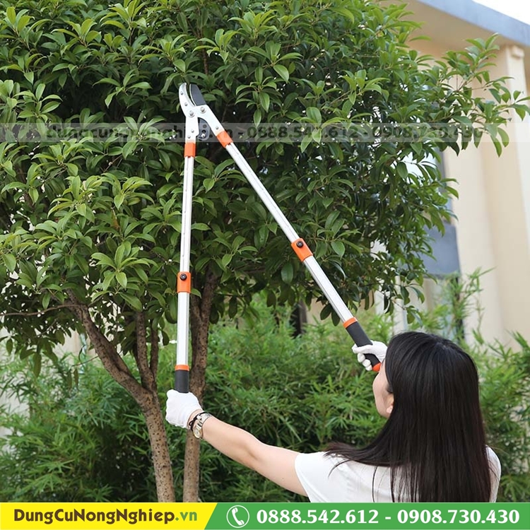 Kéo cắt cành lớn to trên cao