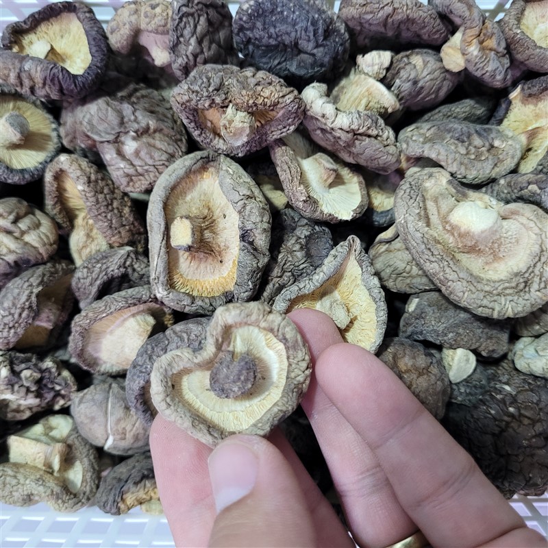 Túi 100gr nấm đông cô size trung loại 1