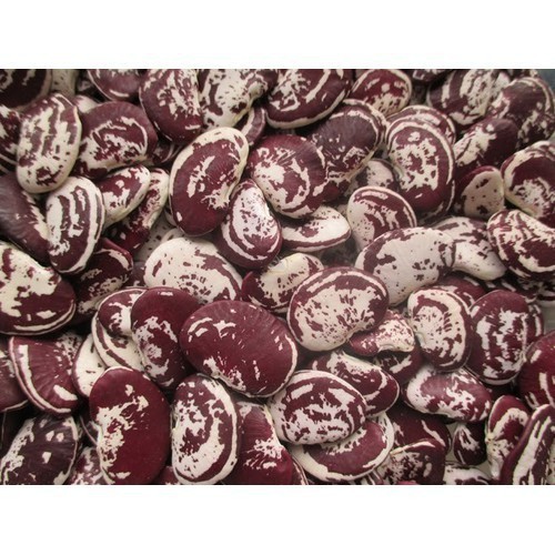 1KG đậu ngự đà lạt hạt to - đậu ngự