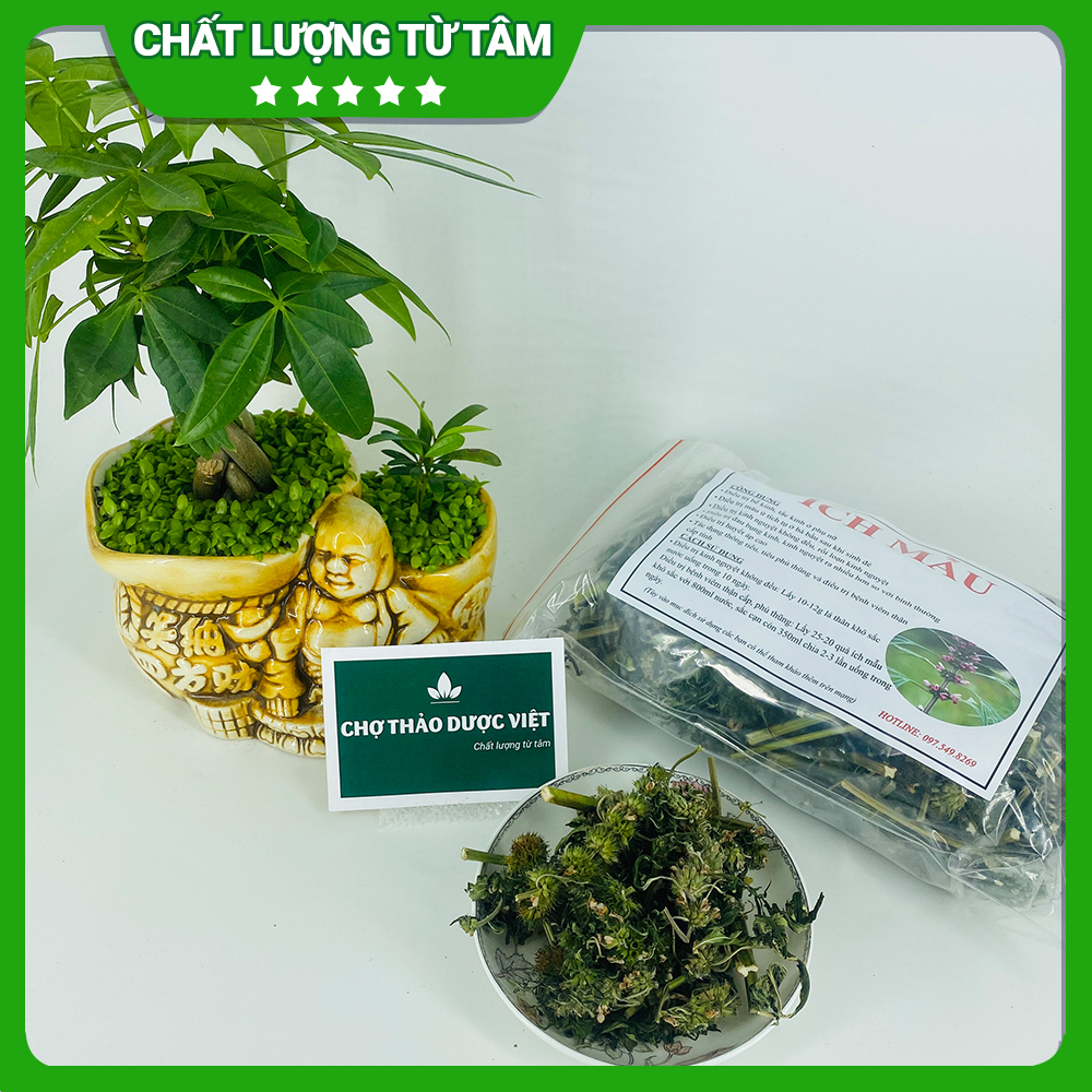 Ích mẫu khô 1kg, hỗ trợ điều hòa kinh nguyệt, bổ huyết, giảm đau bụng kinh, cân bằng nội tiết