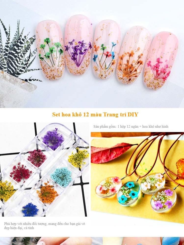 Hoa Khô Trang Trí Móng