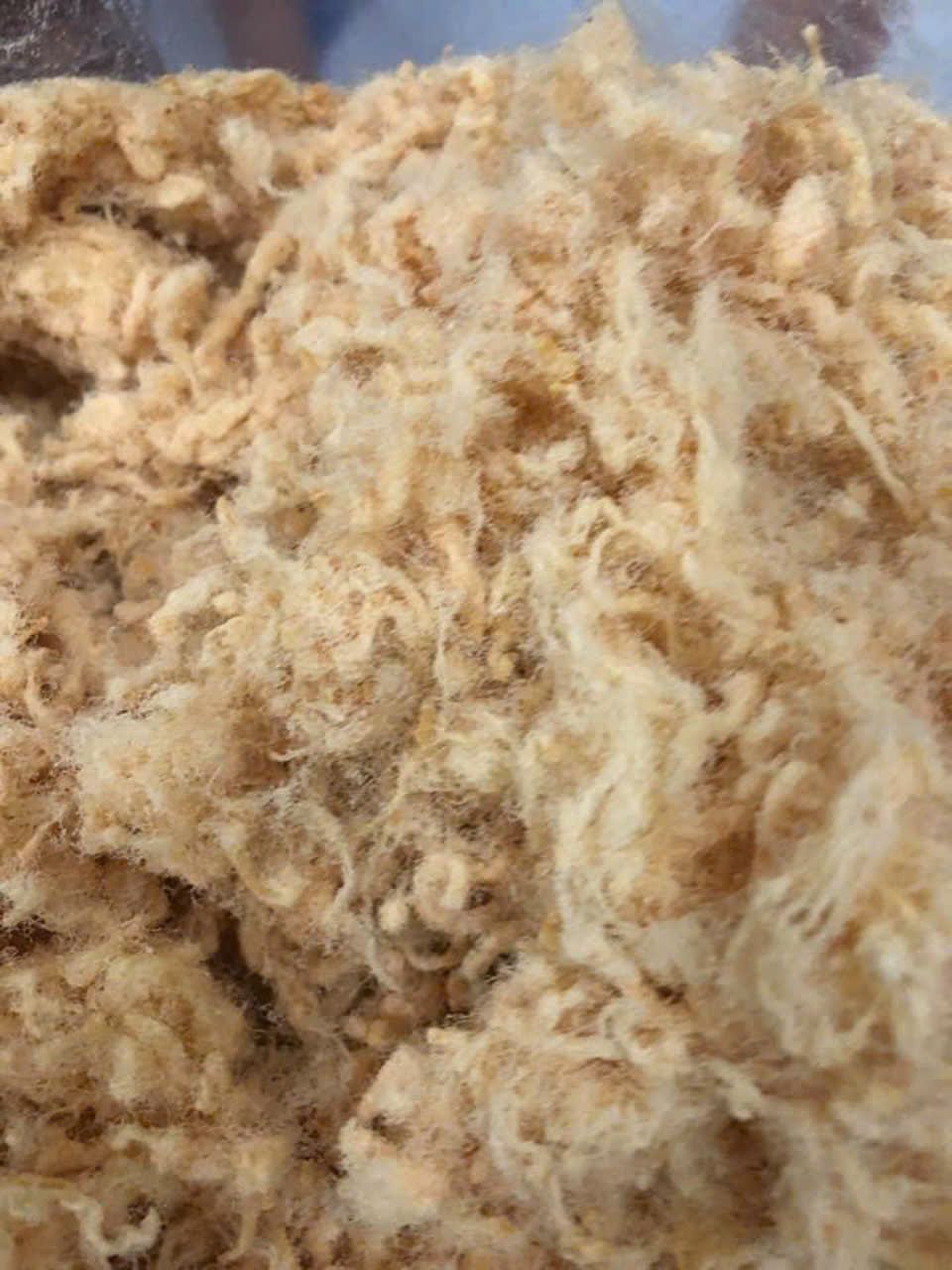 1kg chà bông xù