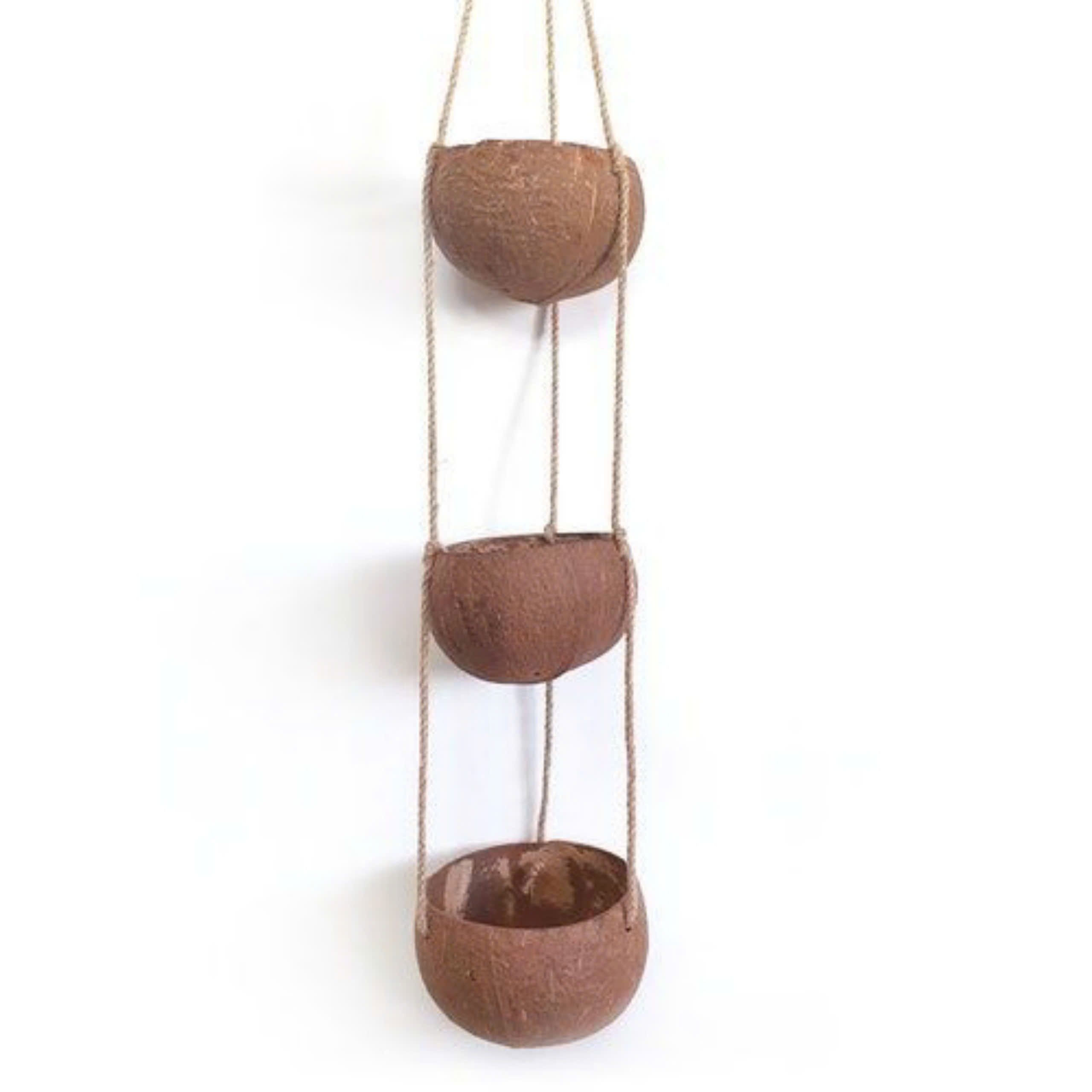 chậu dừa trồng cây