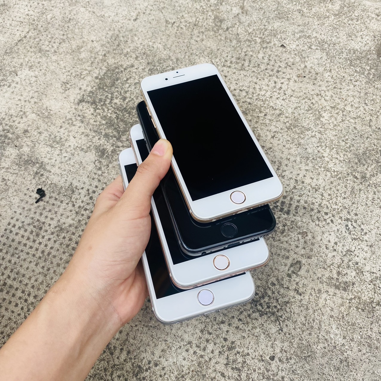 Mô hình trưng bày ip 6S đủ màu chuẩn đẹp