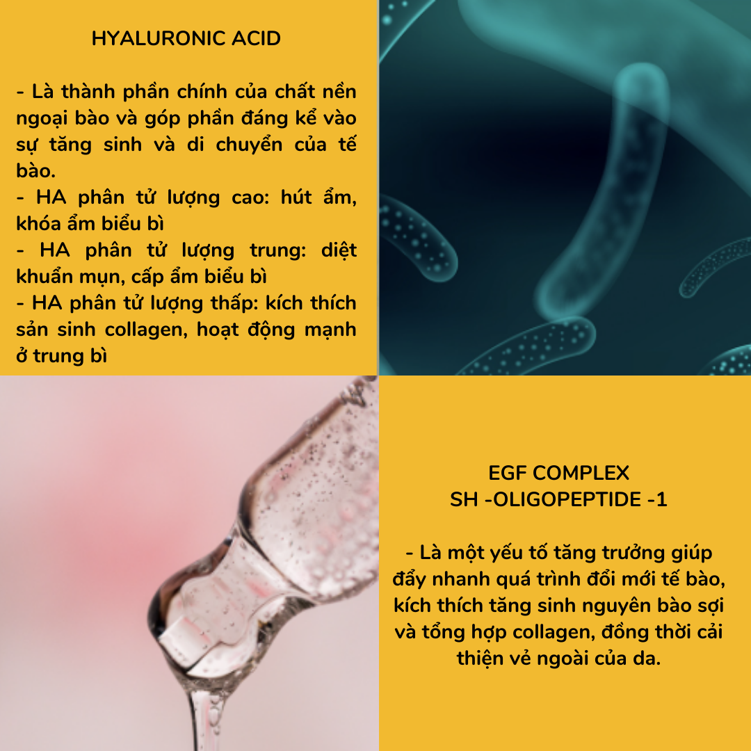 Tinh chất tế bào gốc EGF Beauty Med