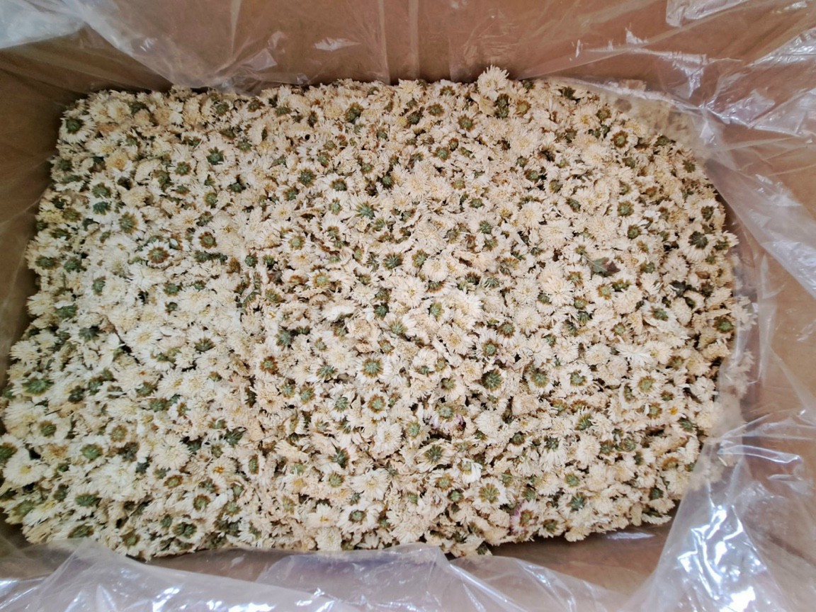Trà Hoa Cúc Trắng Đà Lạt - 100G