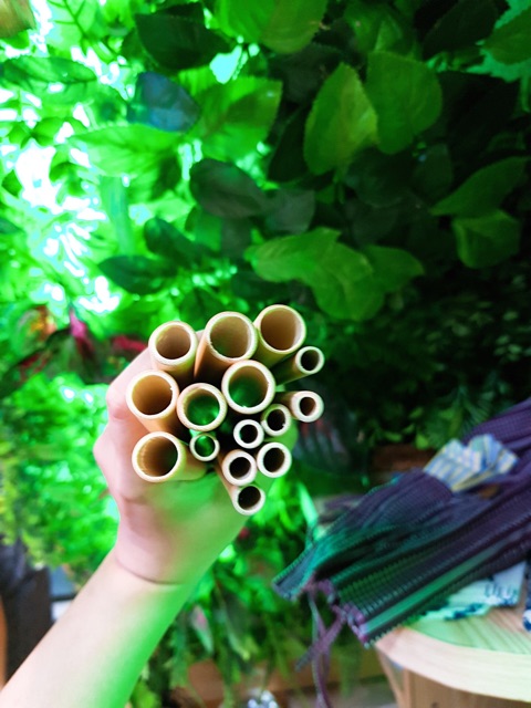 [HCM]Ống Hút Tre Nhiều Size + Cọ Rửa Ống Hút