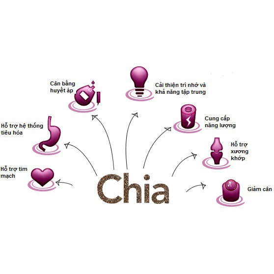 Hạt Chia Úc Organic Chia Seeds Túi Đen 500 gam