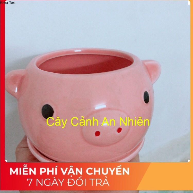 Chậu Trồng Cây Hình Thú Ngộ Nghĩnh