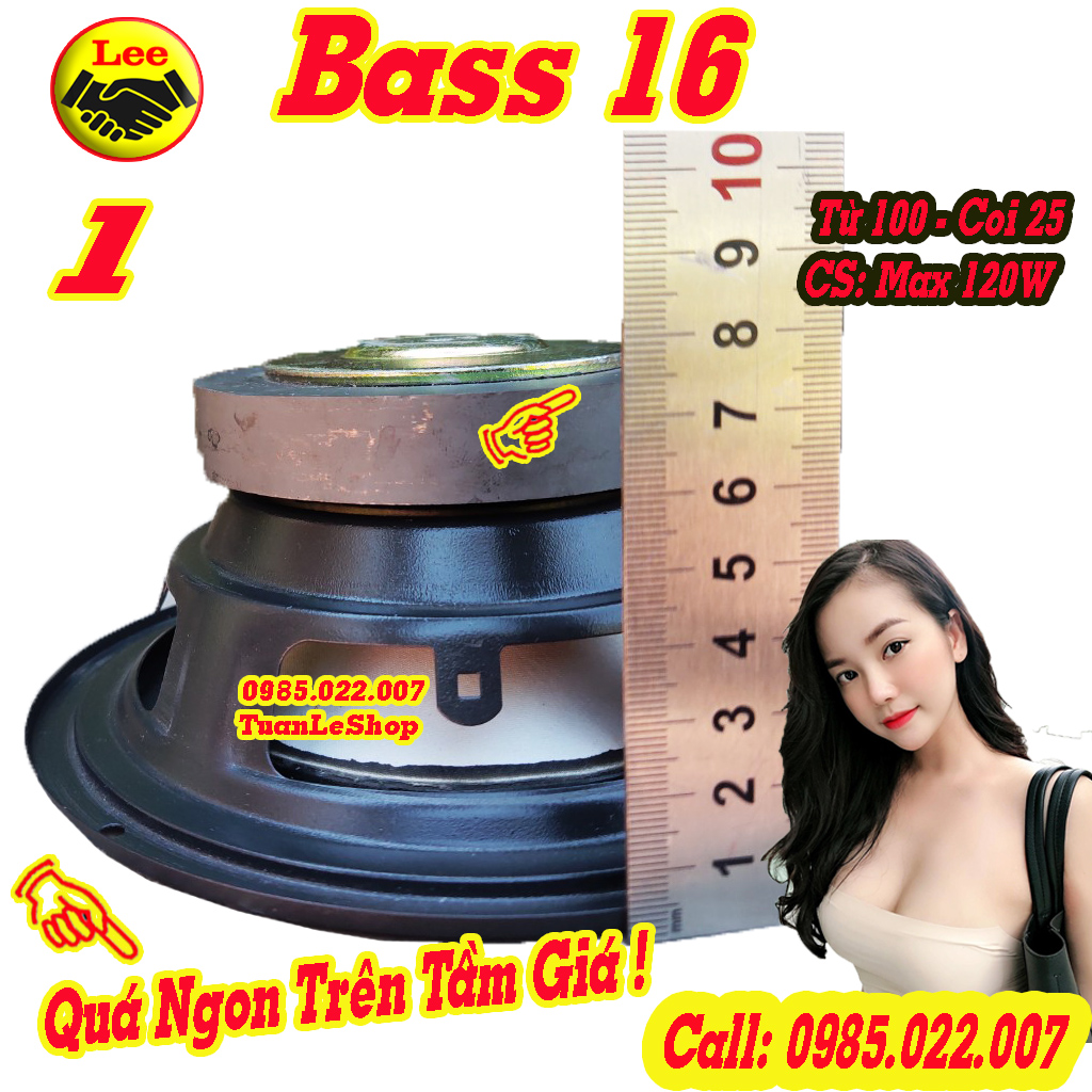 BASS 16 từ 100 - GIÁ 1 CHIẾC LOA