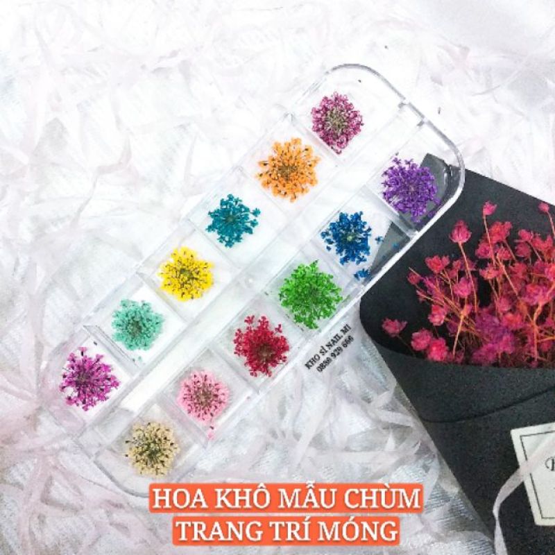 HOA KHÔ TRANG TRÍ MÓNG TAY - SET 12 MÀU HOA CHÙM ĐẮP GEL ẨN PHONG CÁCH NHẬT BẢN giá rẻ