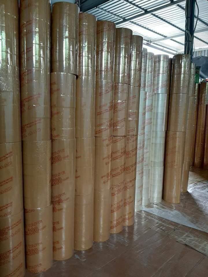 Băng Keo Trong, Đục 100y 1 cây (6 cuộn)
