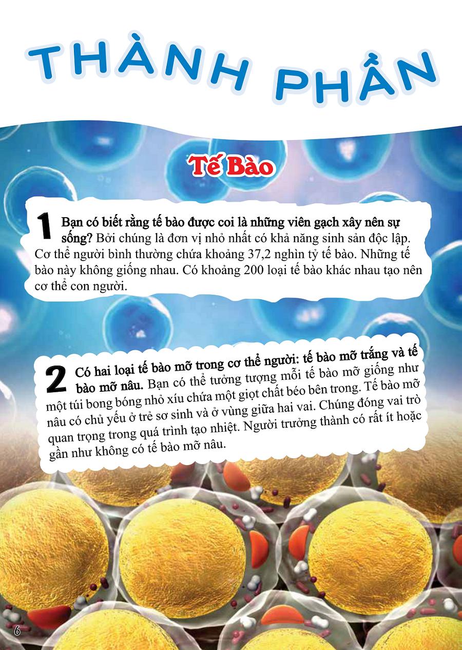 500 Bách Khoa Tri Thức - Cơ Thể Người