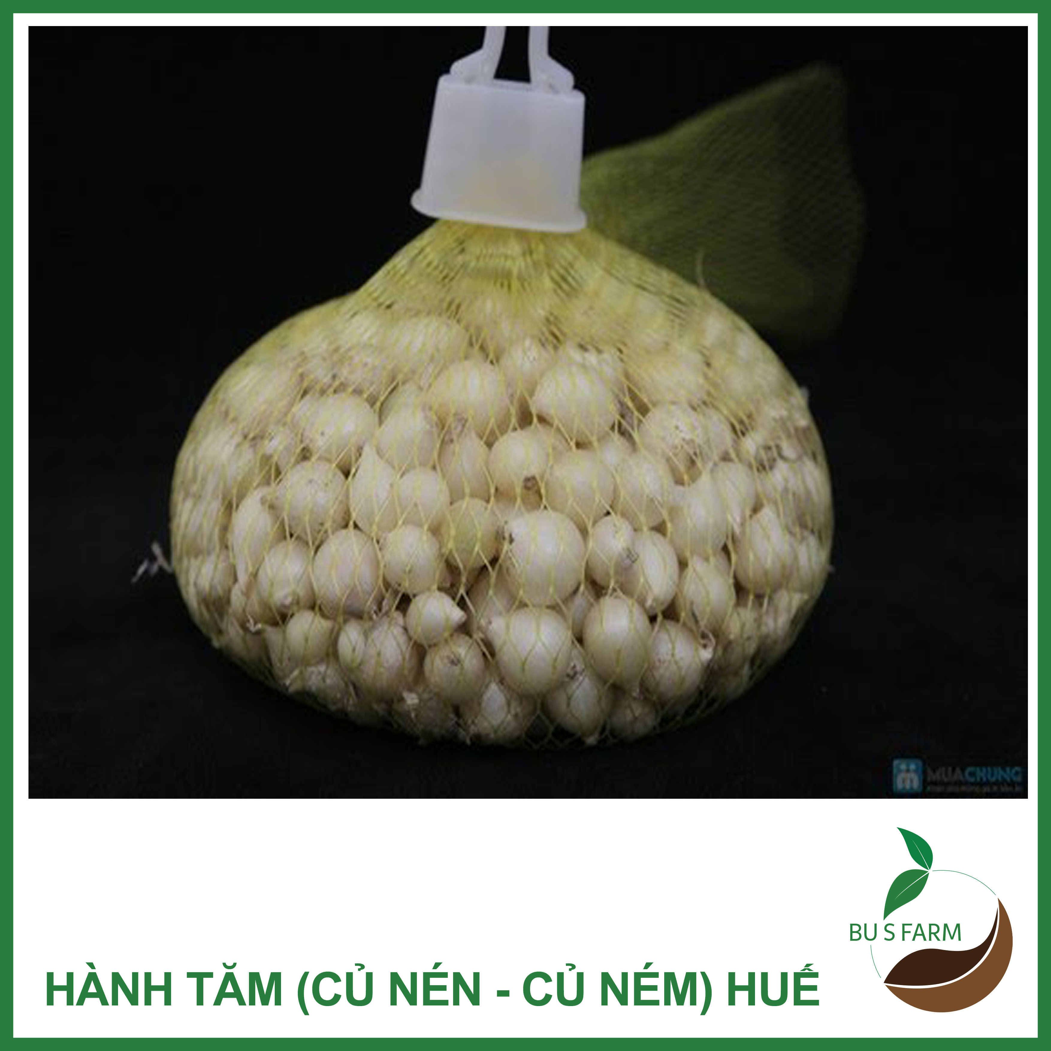 500gr Củ Ném ( củ Nén - Hành tăm - Hành trắng) Huế nhà trồng