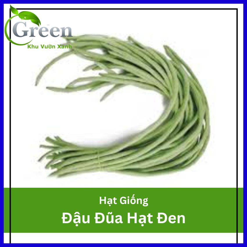 Hạt Giống Đậu Đũa Hạt Đen (Gói 20 Gam) Dễ Trồng, Thu Hoạch Kéo Dài