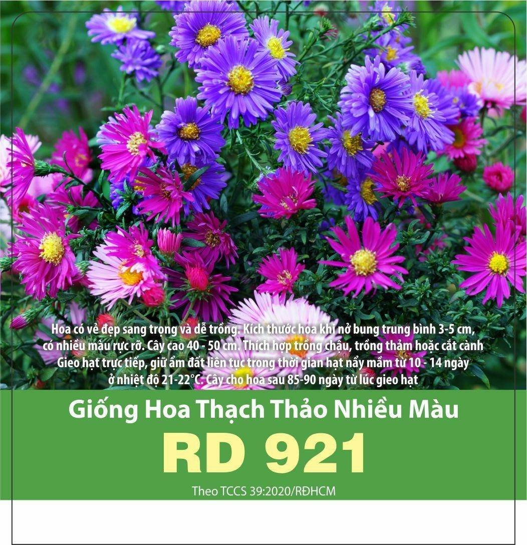 Hạt Giống Hoa Thạch Thảo Nhiều Màu (0.2gr)
