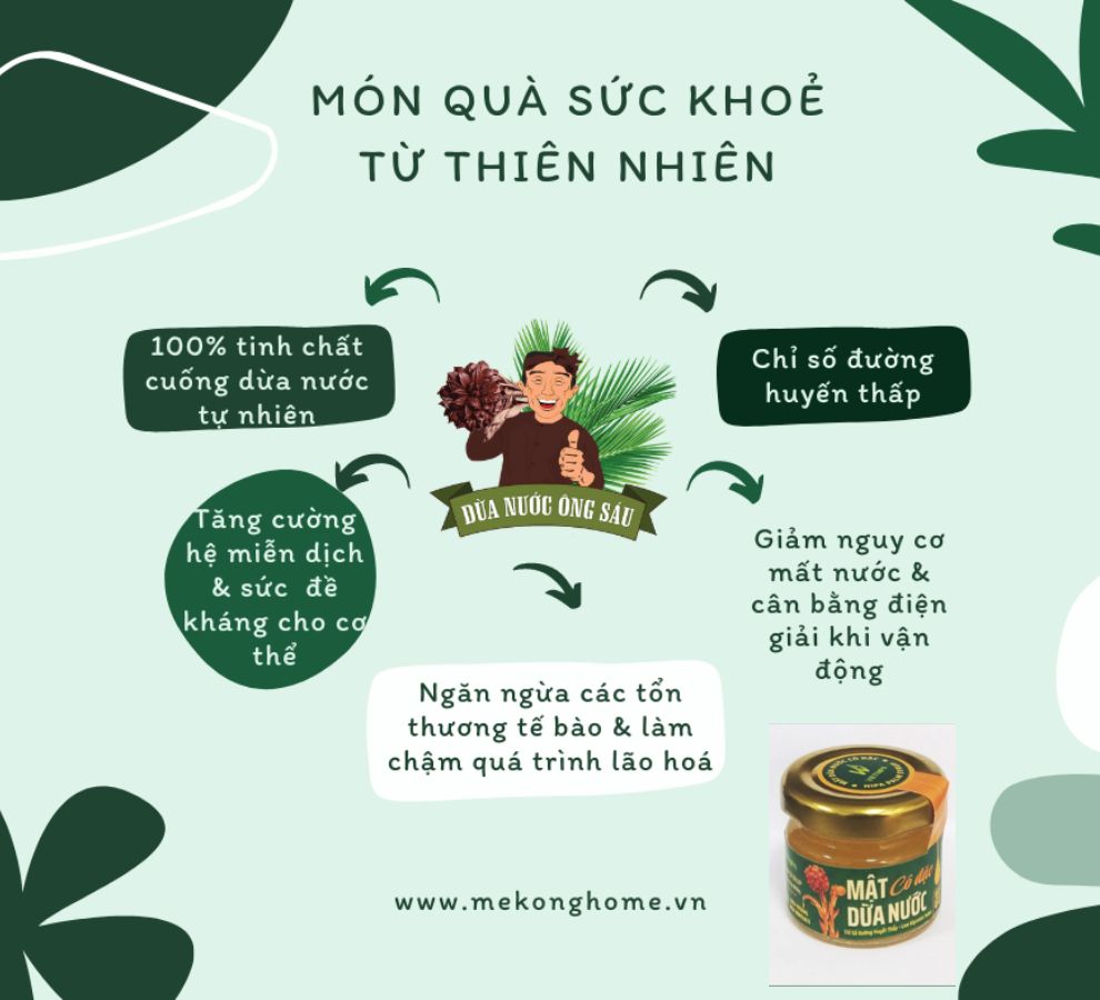 Mật Dừa Nước Vietnipa - CÔ ĐẶC - 25g