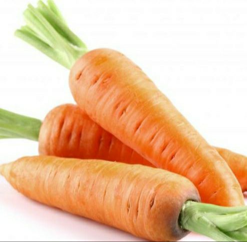 hạt giống cà rốt củ to dễ trồng - gói 5gr
