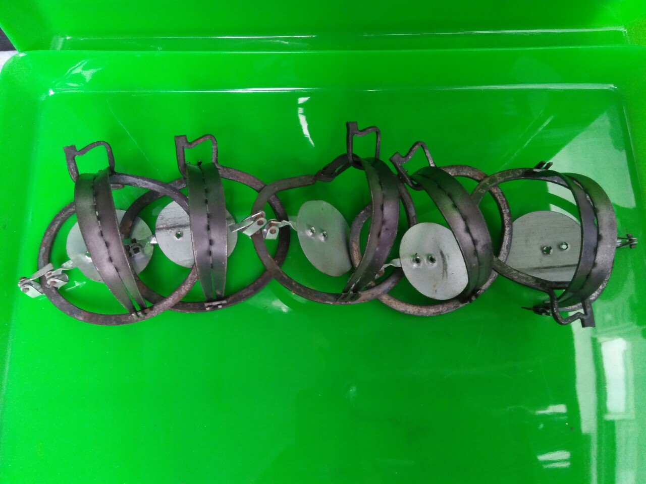 Combo 5  bẫy chuột cạm kiềng cỡ nhỏ miệng 9 cm