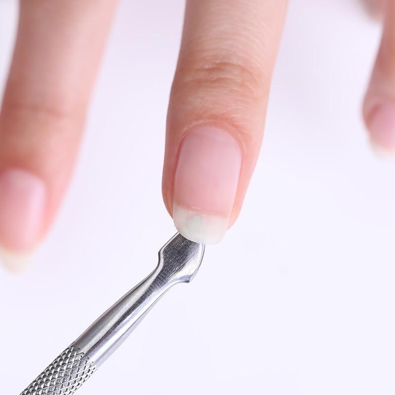 Sủi đẩy da,sủi móng,cây sủi da thép