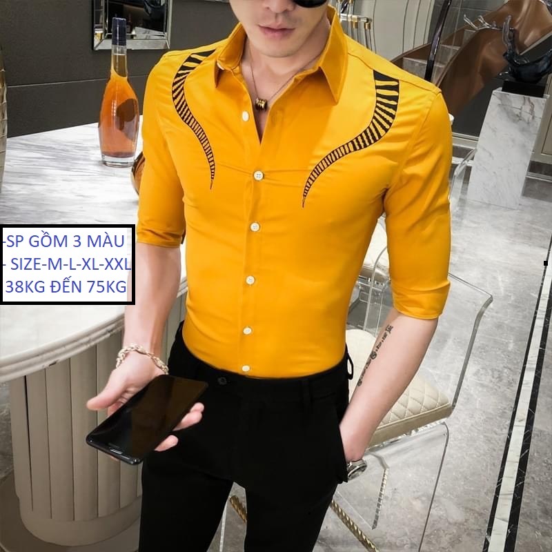 [HCM]ÁO SƠ MI DÀI TAY NAM KEN 365