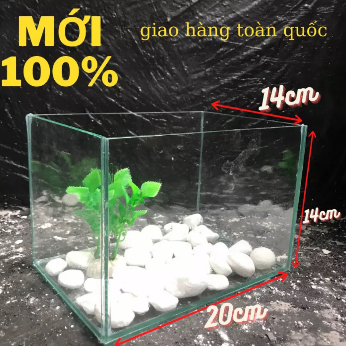 Hồ cá mini giá rẻ 20x14x14 kính 5li