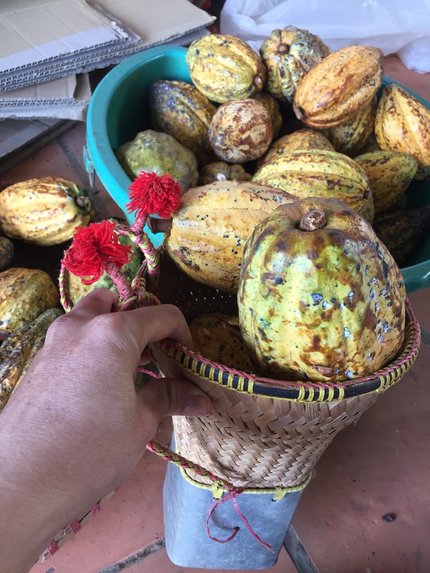 Cacao nguyên chất Đak Lak