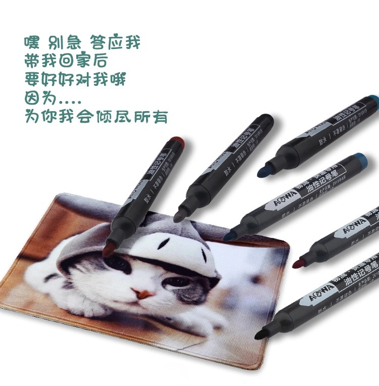 COMBO ( 2 CÂY )BÚT LÔNG DẦU AOWA-700