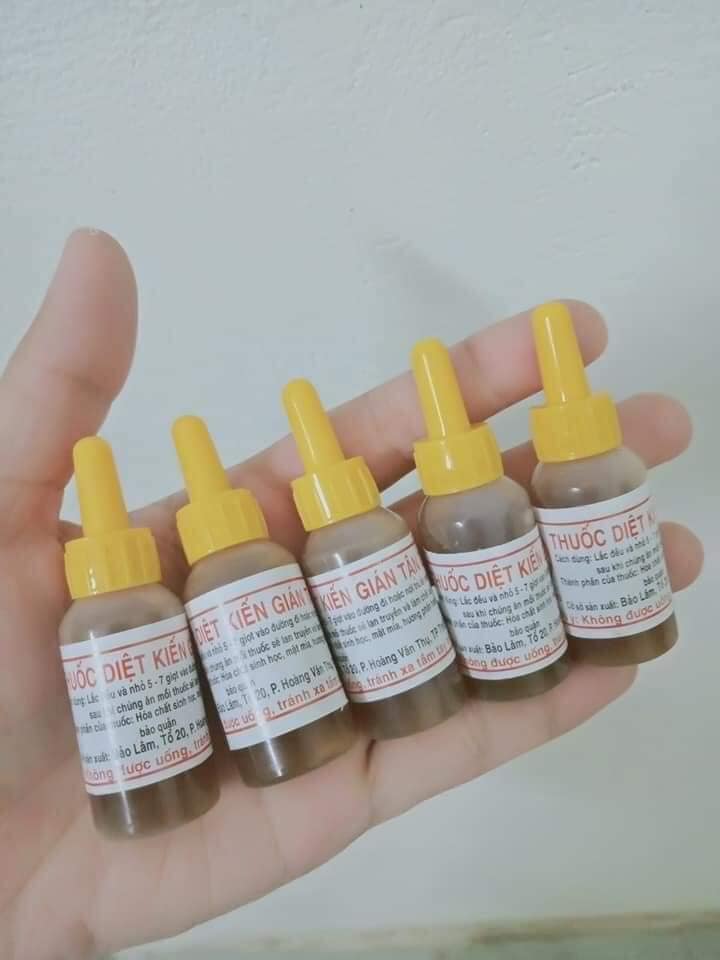 diệt kiến, diệt gián tận gốc