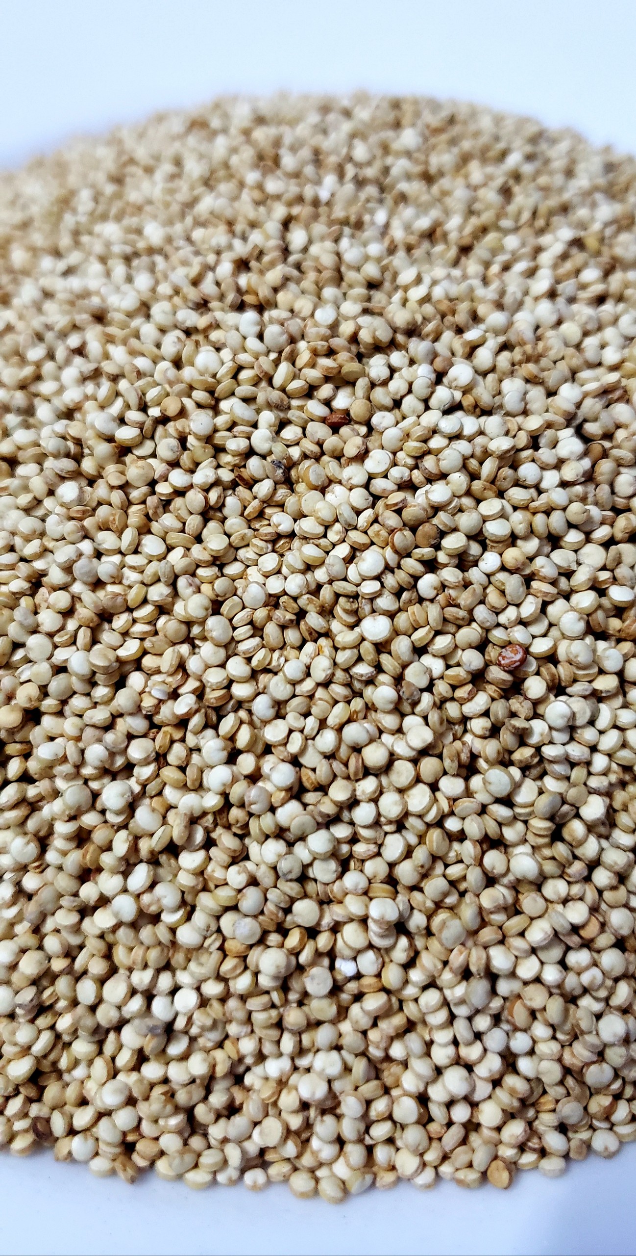 Hạt Quinoa (hạt Diêm Mạch)- nhập khẩu Peru, 500g