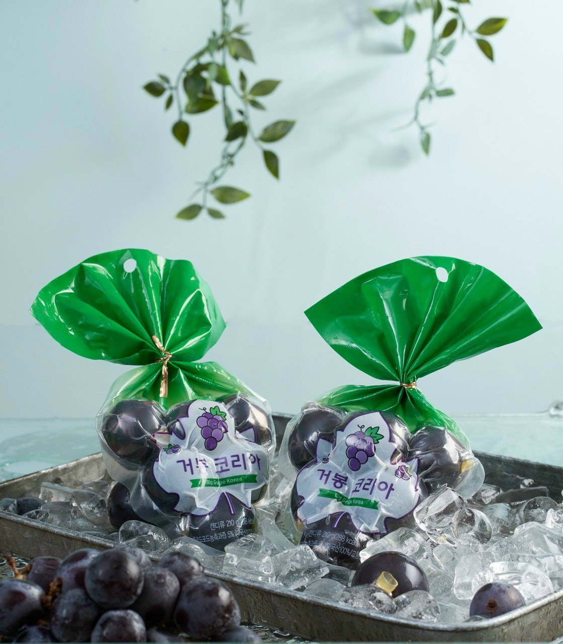 Thạch nho nổ Kyoho Hàn Quốc (7 viên)