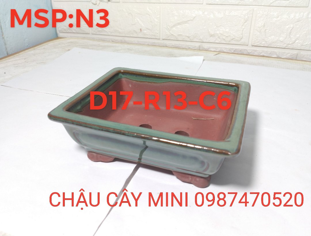 Chậu bonsai mini chữ nhật N3,chậu cây mini