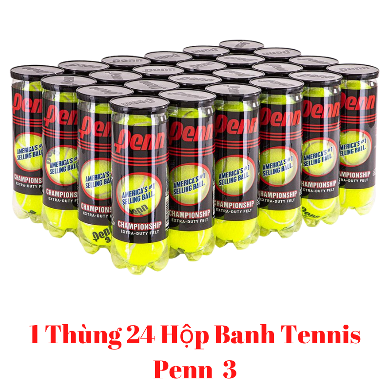 HCM1 Thùng 24 Hộp Banh Tennis Penn Championship Extra Duty Banh Penn 3