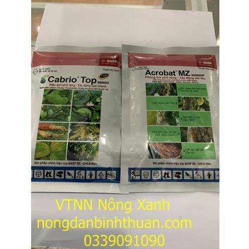 Cabrio Top và Acrobat MZ đặc trị đốm trắng thanh long